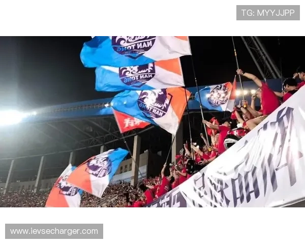 世界杯球迷的疯狂行为：在比赛中挥舞旗帜、唱响呐喊，彰显出球迷们对国家队的深厚感情与支持